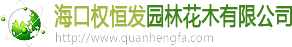 爱游戏app官方最新版